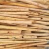Certified Organic Ceylon Alba Cinnamon Sticks