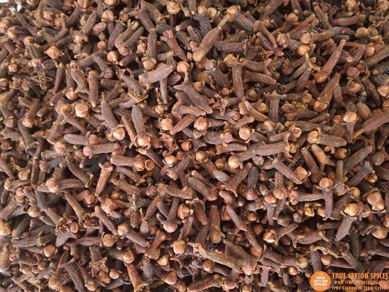 Certified Organic Whole Clove from Sri Lanka