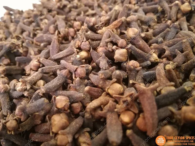 Certified Organic Whole Clove from Sri Lanka - Image 3
