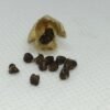 Lanka Green Cardamom